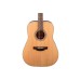TAKAMINE GD20-NS